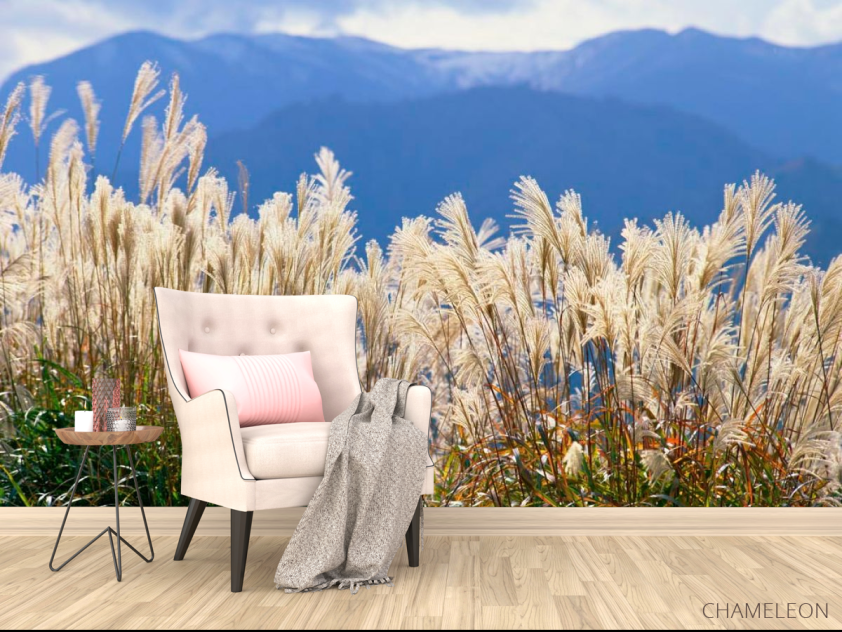 Фотообои Возле болота - 4