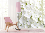 Фотошпалери Біла гортензія і намистини - 4