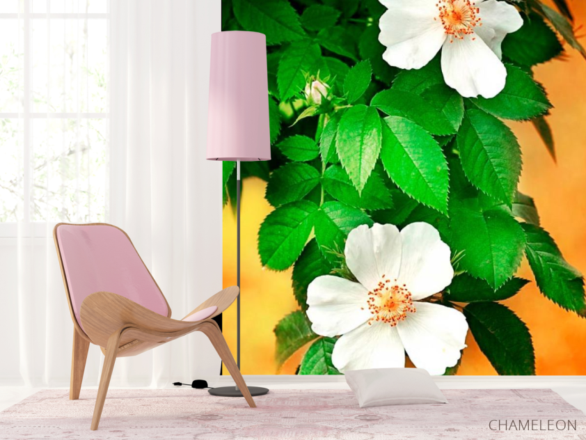 Фотошпалери Цвіте шипшина - 4