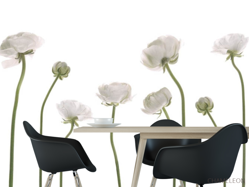 Фотошпалери квіти - 1