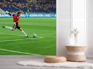 Фотообои Вратарь начинает атаку - 2