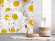 Фотошпалери ромашки - 2