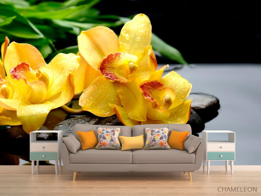 Фотообои Орхидея - 1