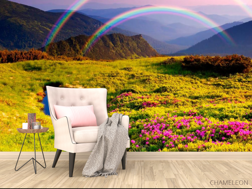 Фотообои Цветное поле, радуга - 4