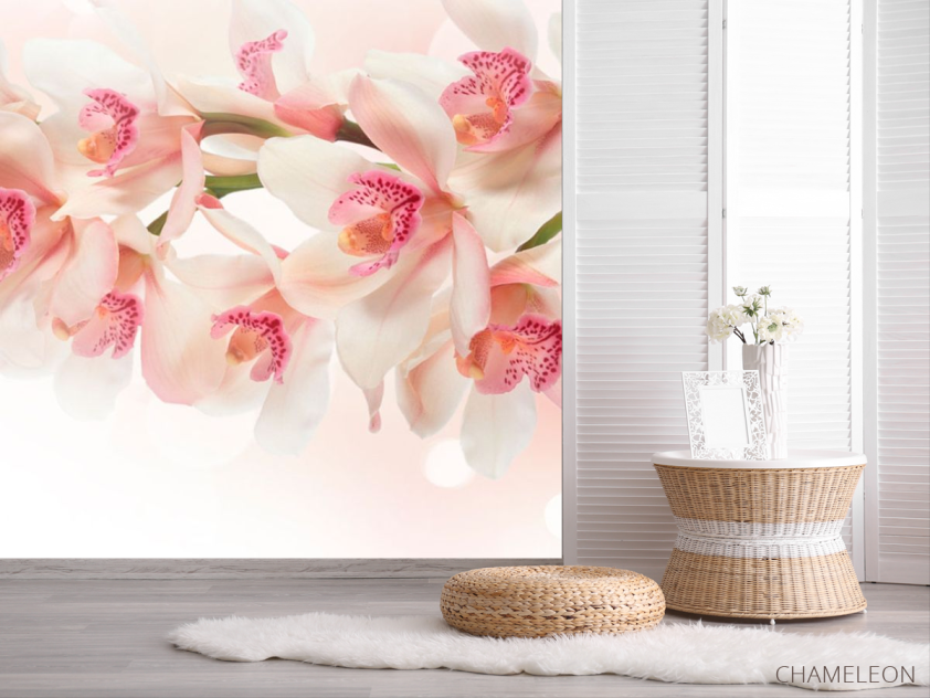 Фотошпалери Квіти - 2