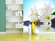 Фотошпалери Лілії, каміння, вода - 3