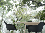 Фотошпалери ліс - 1