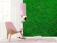 Фотошпалери М'яч на лінії - 4