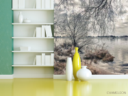 Фотошпалери Чорно біле узбережжі - 3