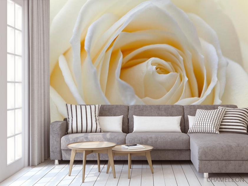 Фотообои Бледно-бежевая роза - 3