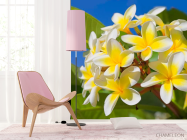 Фотошпалери Жовто-білі квіточки - 4