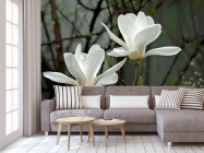 Фотообои Белоснежные цветки - 3