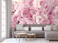 Фотообои пушистые розовые пионы - 3