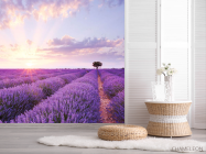Фотошпалери Лавандове поле на сході - 2
