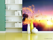 Фотошпалери кульбаба захід сонця - 3