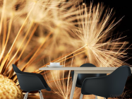 Фотошпалери Макро кульбаби - 1