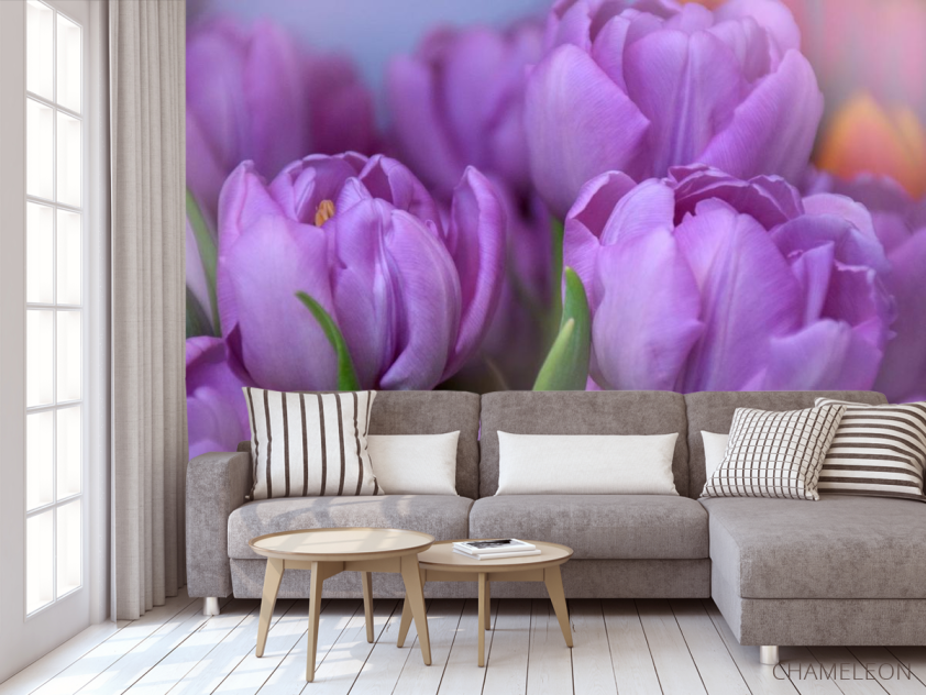 Фотообои фиолетовый тюльпан - 3