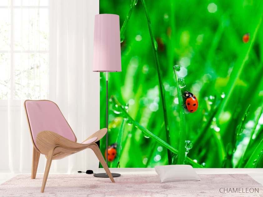 Фотошпалери Трава,божа корівка - 4