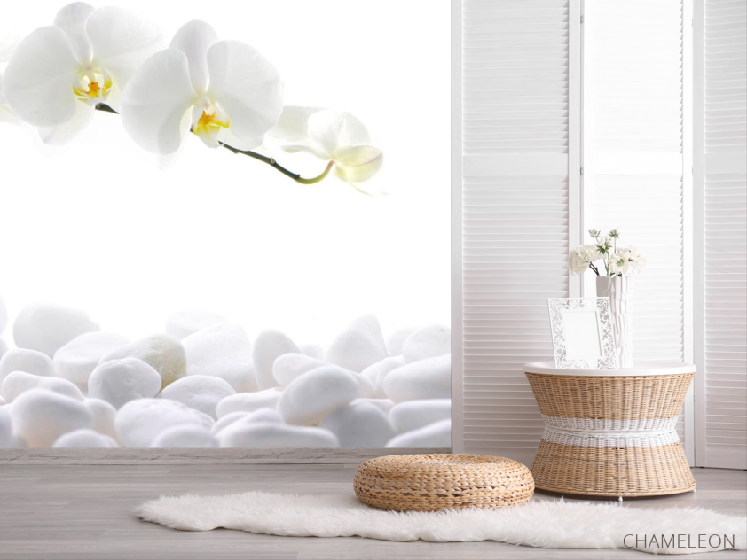 Фотошпалери Білі орхідеї - 2