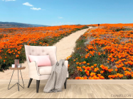 Фотообои Тропинка, мак - 4