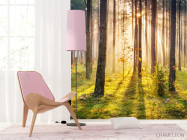 Фотошпалери Захід сонця в лісі - 4