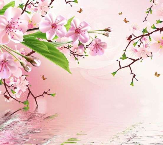 Фотообои цветущие ветви Фотообои цветущие ветви 31482