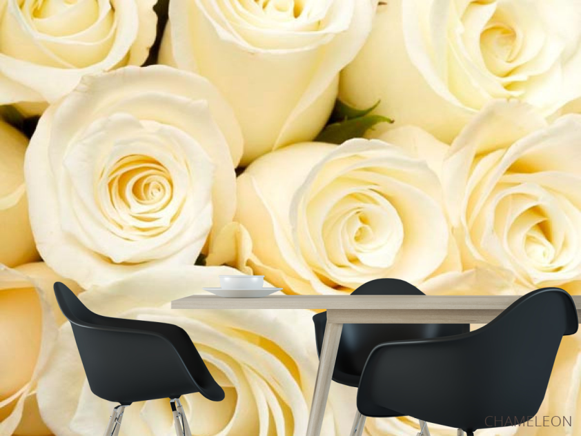 Фотошпалери Білосніжні троянди, букет - 1