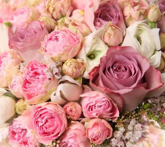 Фотообои Цветы 19379