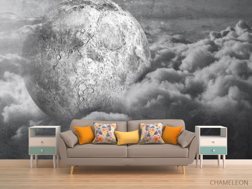Фотообои Серая луна - 1