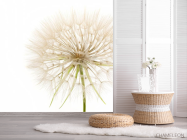 Фотошпалери кульбаба - 2