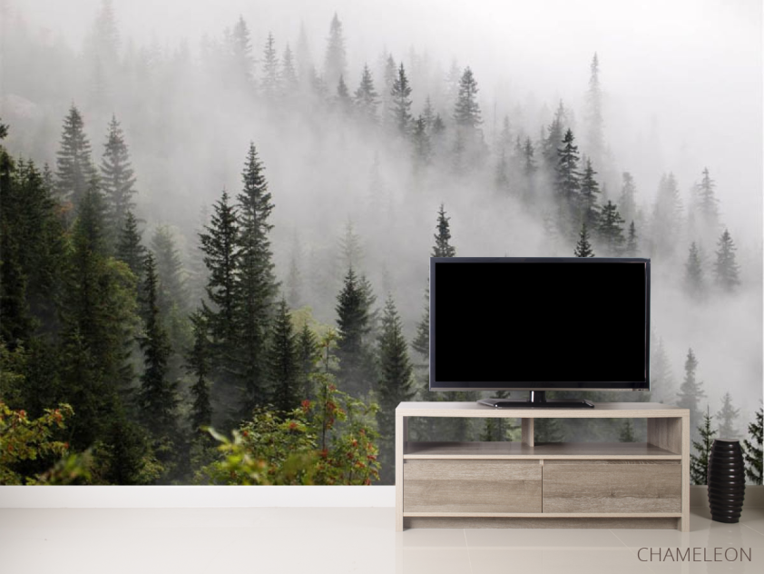 Фотообои Туманный лес - 2