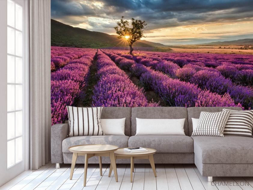 Фотообои Лавандовое поле - 3