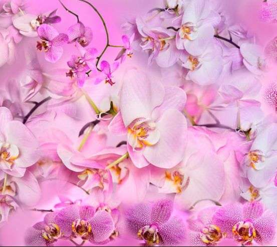 Фотообои Дизайнерская коллекция 17277