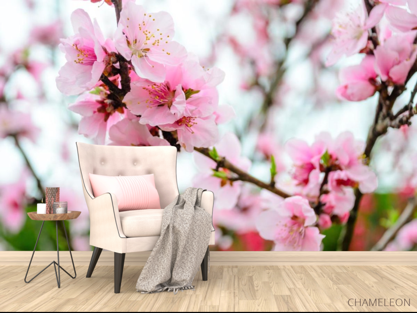 Фотообои розовая сакура - 4
