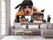 Фотообои кот с собакой делают селфи - 3