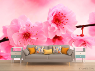 Фотообои Распустилась вишня - 1