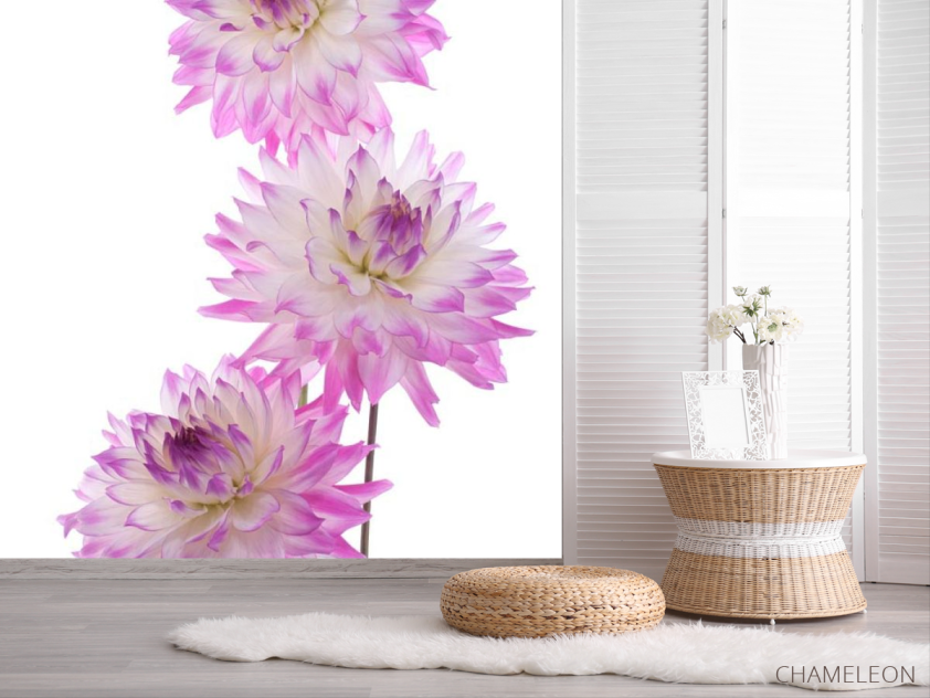 Фотошпалери Півонія бузковий - 2