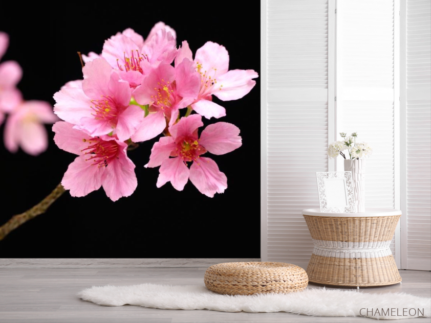 Фотошпалери Рожеві квіти персикові - 2