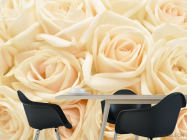 Фотошпалери кремові троянди - 1