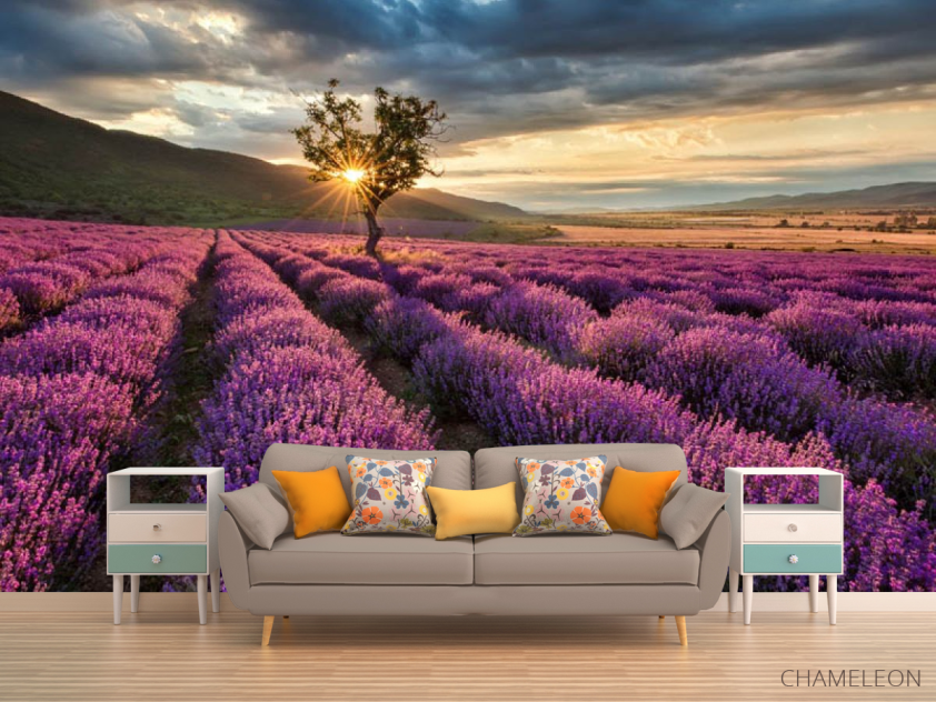 Фотообои Лавандовое поле - 1