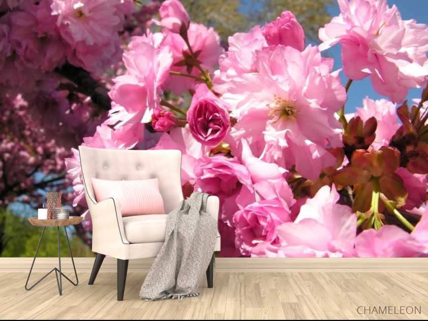 Фотообои розовое цветение - 4