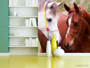 Фотошпалери Пара коней - 3