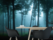 Фотошпалери ліс, туман - 1