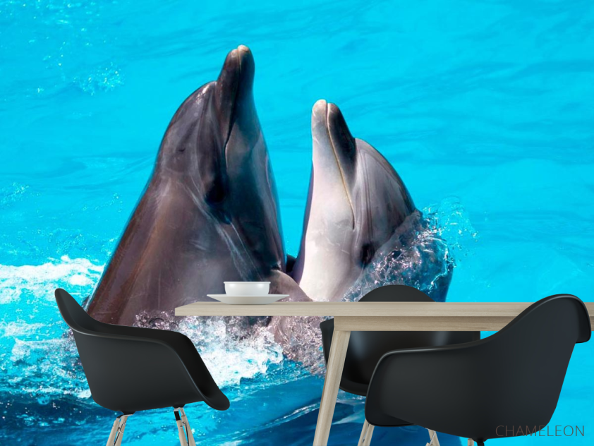 Фотошпалери Два дельфіна - 1