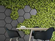 Фотошпалери шестикутники з зеленню - 1