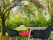 Фотошпалери рожеві тюльпани в квітковому саду - 1