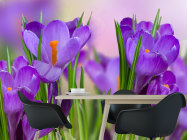 Фотошпалери фіолетові квіти в траві - 1