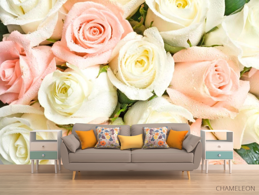 Фотообои Белые и кремовые розы - 1