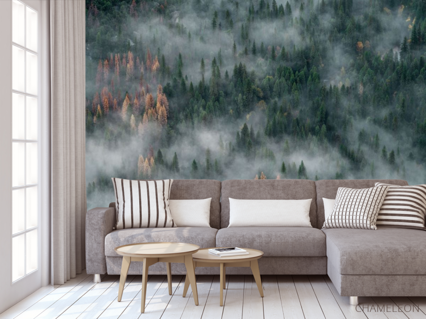 Фотообои Туманные сосны - 3