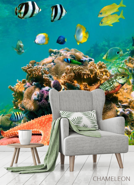 Фотообои Морская звезда на рифе - 3